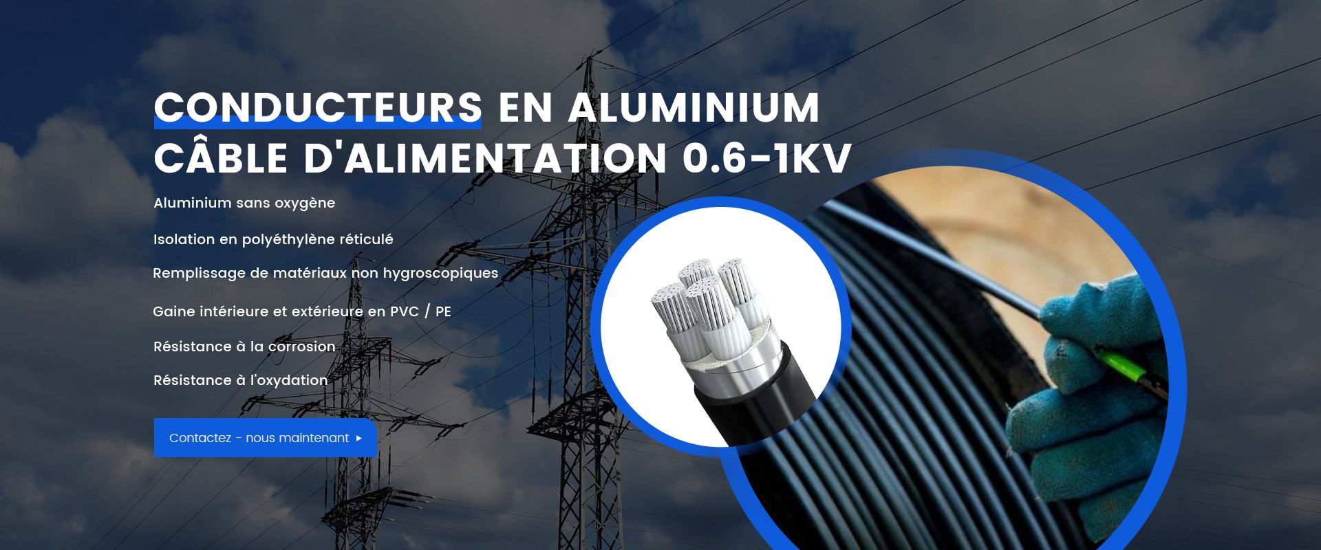 Conducteur d'alimentation en alliage d'aluminium Câble